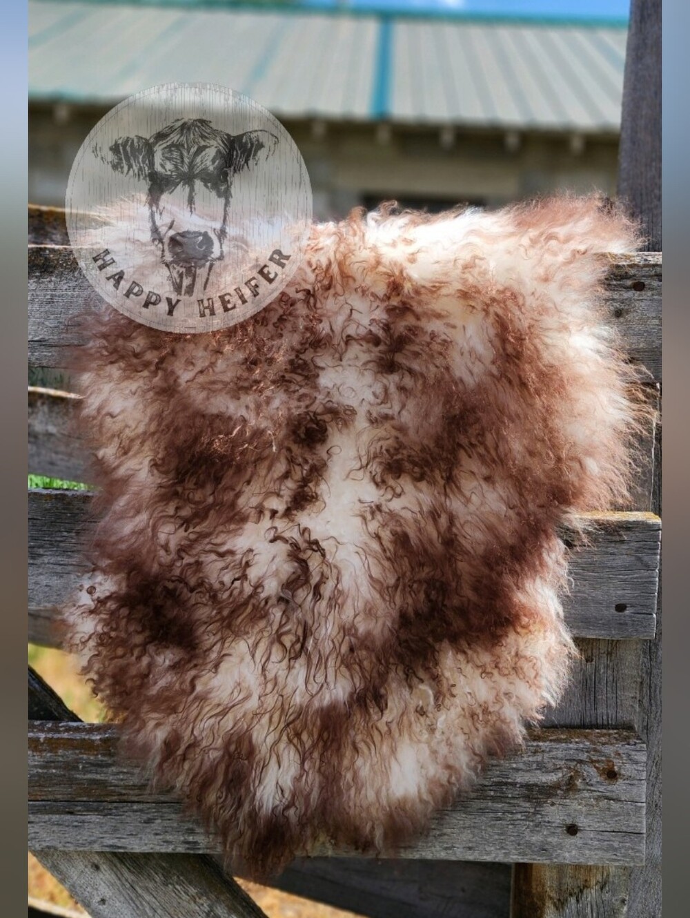 2' x 3' Mongolian Sheepskin Rug